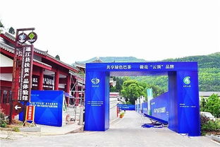 走，采茶去！第五屆“巴中云頂”茶文化旅游節明日盛大啟幕
